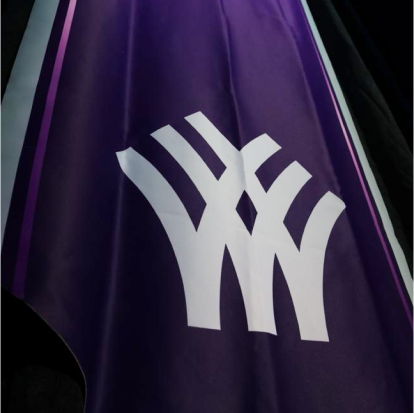 Purple Banner with WBC emblem hanging from roof